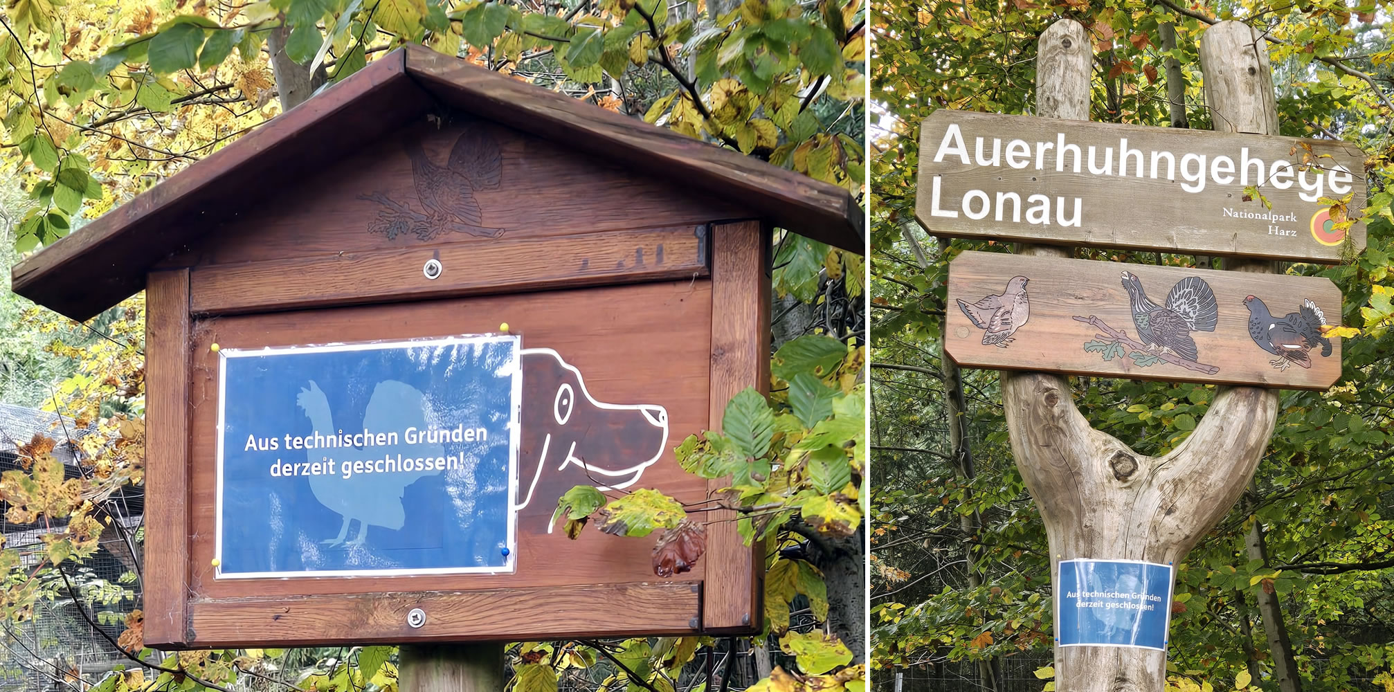 Das Auerhuhngehege in Lonau ist geschlossen